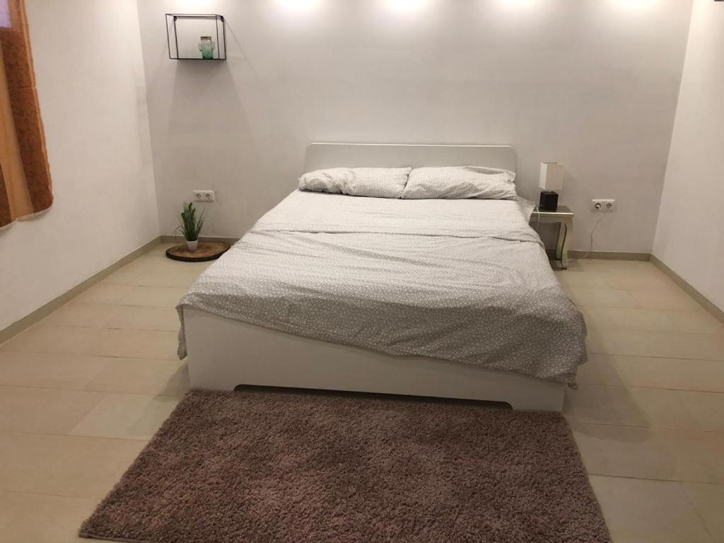 Bescheidene Untergeschoss Wohnung In Guter Lage. Köln Ngoại thất bức ảnh