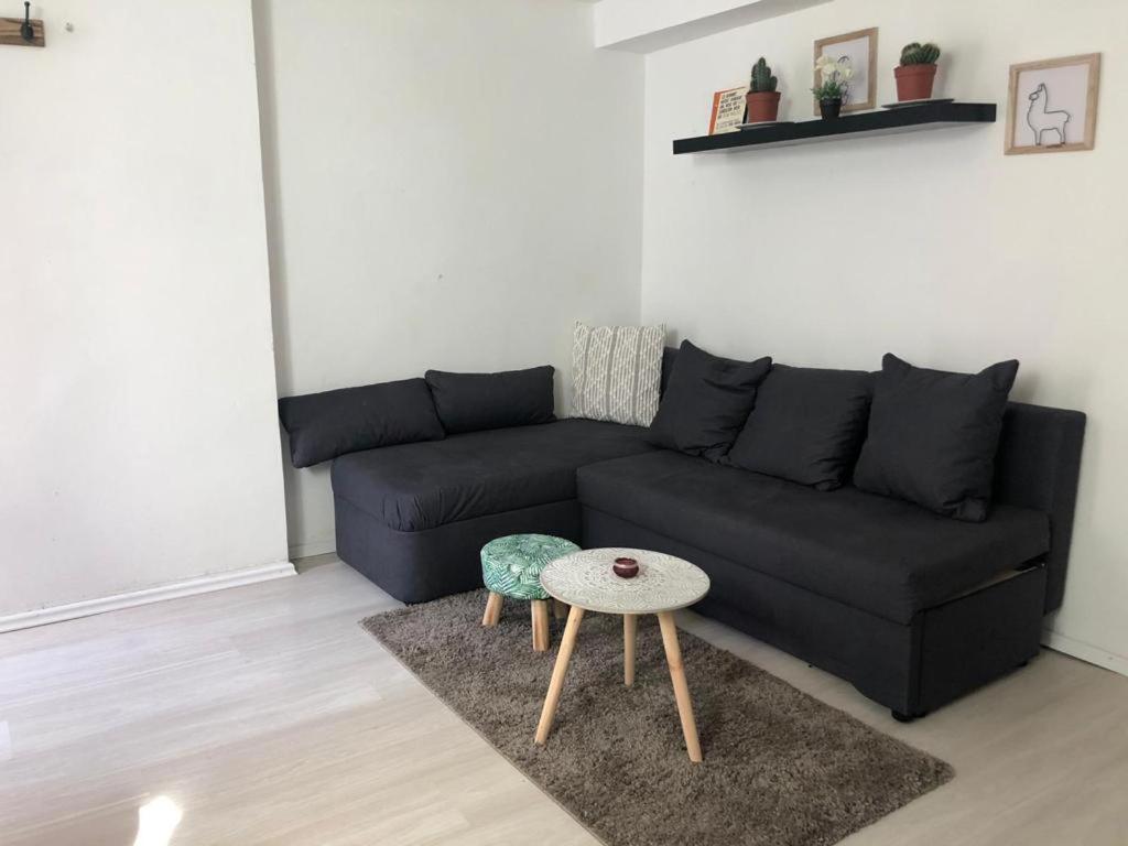Bescheidene Untergeschoss Wohnung In Guter Lage. Köln Ngoại thất bức ảnh