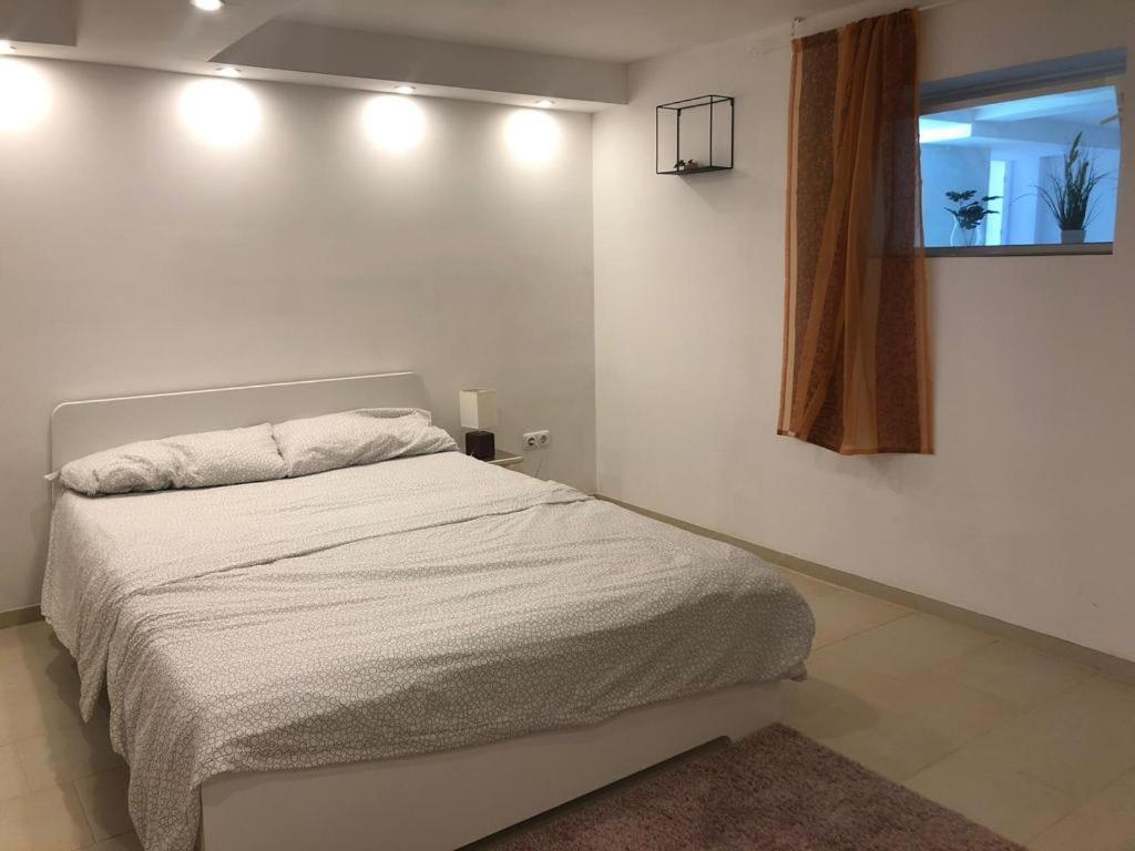 Bescheidene Untergeschoss Wohnung In Guter Lage. Köln Ngoại thất bức ảnh